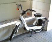 �܂䂤�̈���