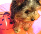 �����[�I�I