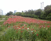 ����ꂾ��I