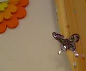 ���傤����