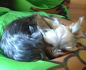 �t�j�~����