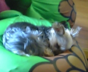 �����Ȃ�