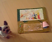 �j�i�`���j�[