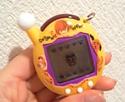 ���܂�����