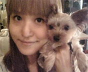 �y�b�gOK�J�t�F