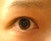 ���܂������ė��Ă�