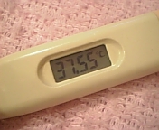 ����͔��M�Ȃ̂�