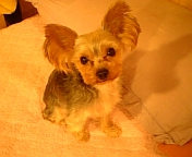 �o���r��