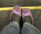 �o���G�V���[�Y