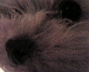 Ӂ[